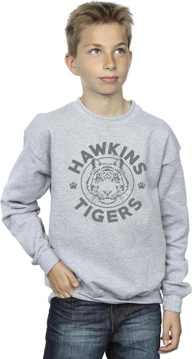 Actual product image Netflix Boys Stranger Things Hawkins Grey Tiger Sweatshirt (140, 146)