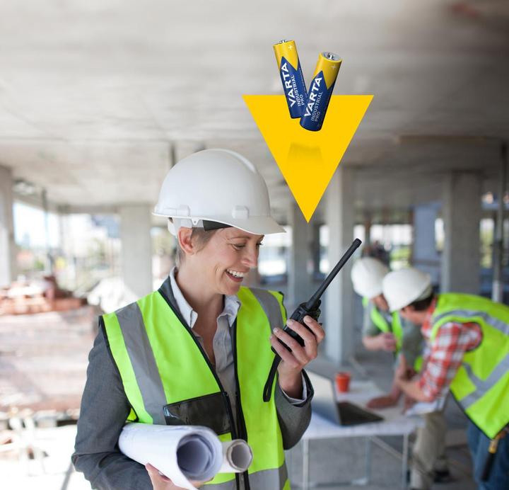 Actual product image Varta Industrial (4 pcs., AA, 2960 mAh)