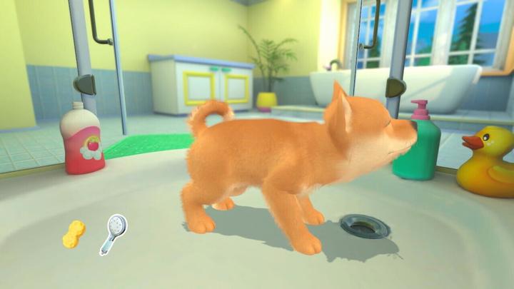 Image du produit Maximum Games My Universe - Chiens et chatons (Switch, IT)