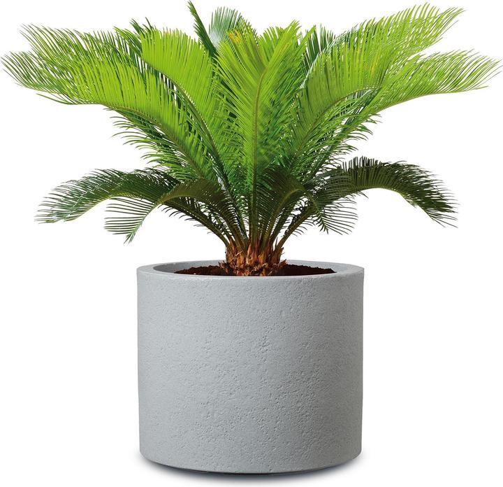 Actual product image Scheurich Flowerpot Stony Grey, plastic, Ø 39 cm, grey (39 x 32 cm)