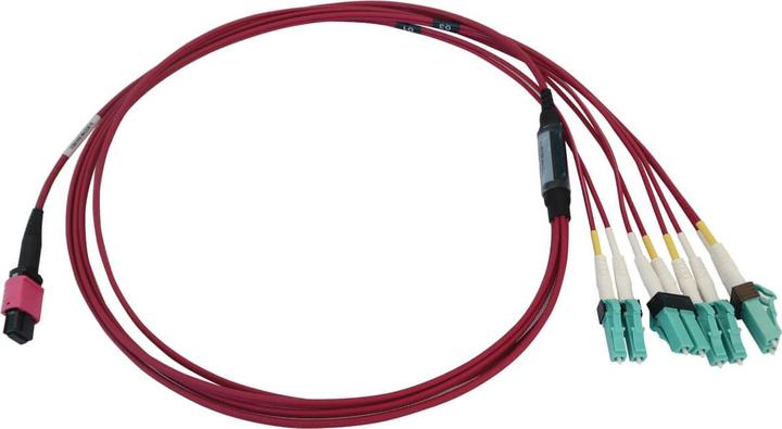 Actual product image Eaton 40/100G Multimode 50/125 OM4 Fibre Optic Cable 12F MTP/MPO-PC to 4x Duplex LC/PC F/M (1 m)