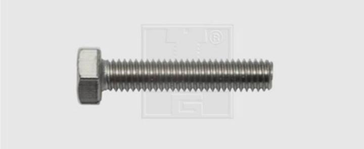 Actual product image SWG Hexagon head screws 8 X 30 stainless steel A2 (40 Screws per piece)