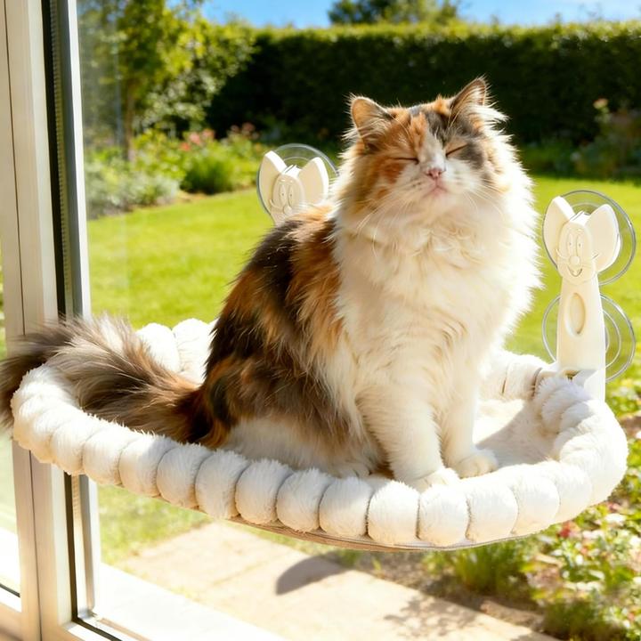 No Name Katzen Fensterliege (Cat)