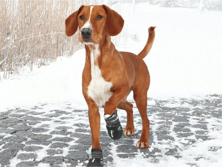 Image du produit Trixie Protection pour pattes Walker Active (L, M)