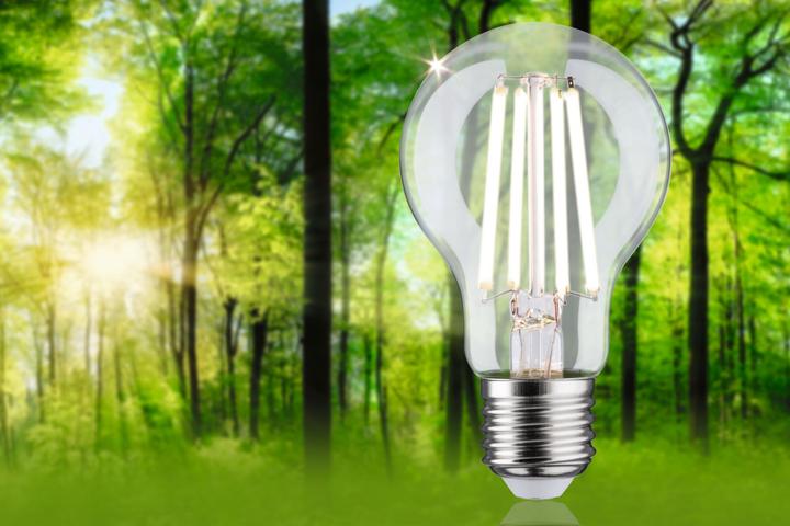 Produktbild Paulmann AGL Eco-Line (E27, 4.50 W, 840 lm, 1 x, B)