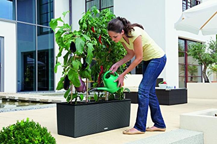 Produktbild Lechuza Trio Cottage (32 cm)