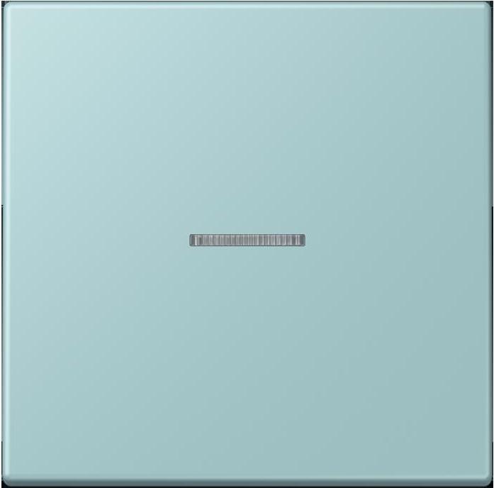 Actual product image JUNG Rocker