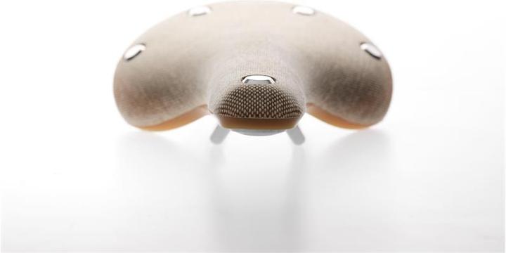 Immagine prodotto Brooks England C17 Cambium