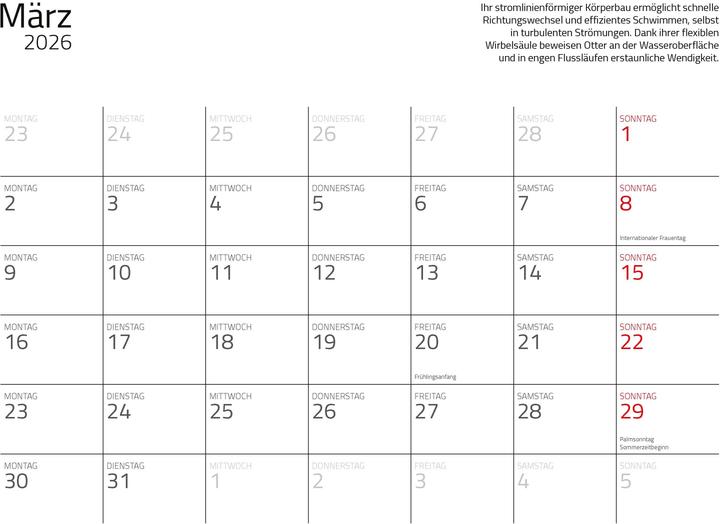 Produktbild Otter Kalender 2026 Wandkalender Eintragkalender