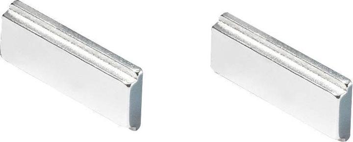 Actual product image Rittal Rack Mount Kit Magnet (Pack of 2)