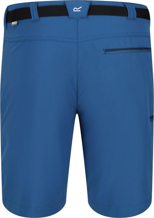 Actual product image Regatta Mens Xert III Stretch Shorts (44)
