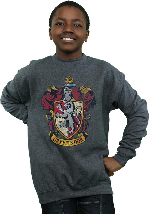 Actual product image Boys Gryffindor Sweatshirt (116)