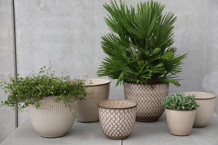 Image du produit Jaco Steel Surat (15 x 13 cm)