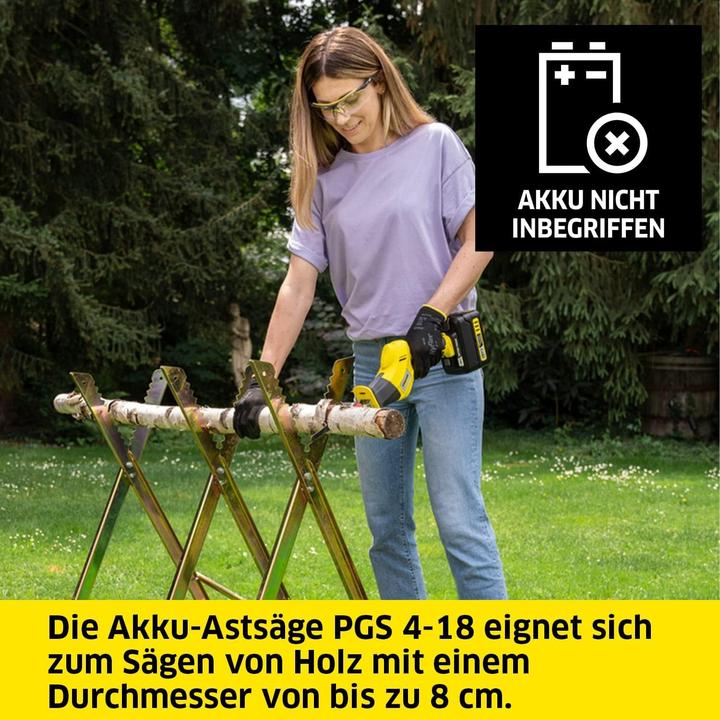 Image du produit Kärcher PGS 4-18