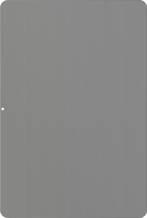 Actual product image Dipos Privacy Screen Protector 4-Way Privacy-Filter (Huawei MatePad)