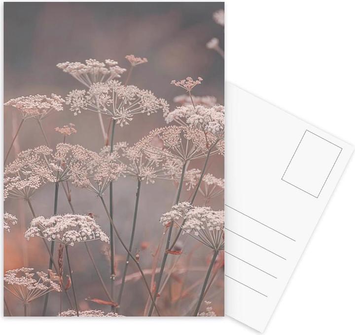 Immagine prodotto Juniqe Mystic Garden Peach - Fiori (10 pz.)