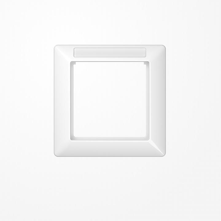 Actual product image JUNG Frame