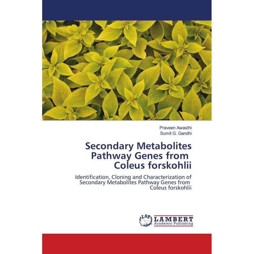 Secondary Metabolites Pathway Genes from Coleus forskohlii, Fachbücher von Sumit G. Gandhi, Praveen Awasthi