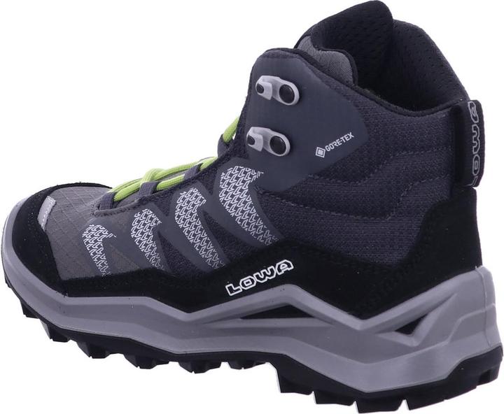 Produktbild Lowa Maddox Pro GTX (38)
