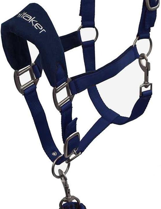 Image du produit - Licol et longe