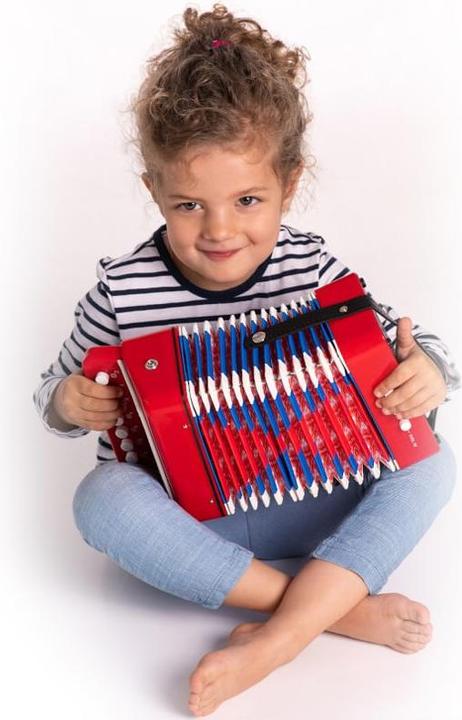 Actual product image Boogie Bee accordion 7 keys (German, French, English, Italian)