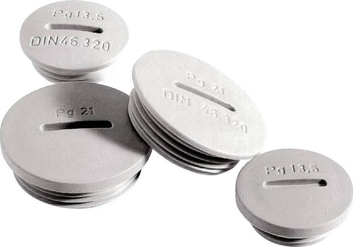 Actual product image Lapp Screw plug PG16 Polyst