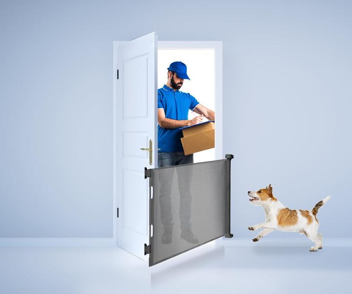 Actual product image Ruhhy Ruhha security gate 19381