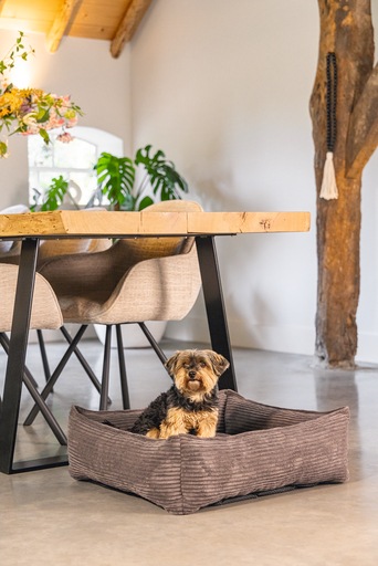 Actual product image Designed by Lotte Ribbed (Dog)