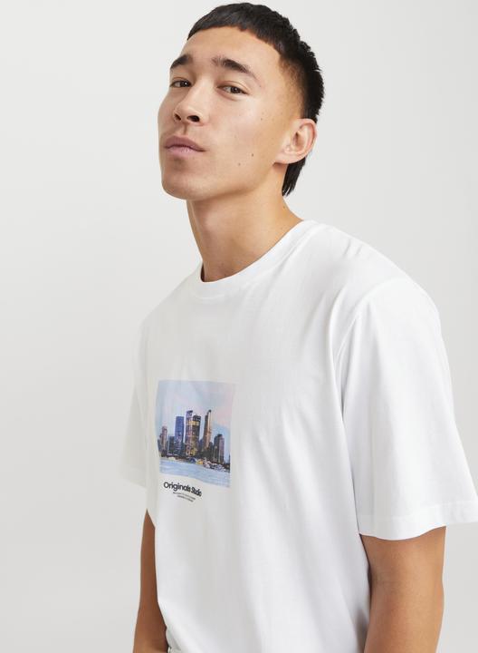 Actual product image Jack & Jones Jorvesterbro Picture Tee Ss Crew Neck Sn (M)