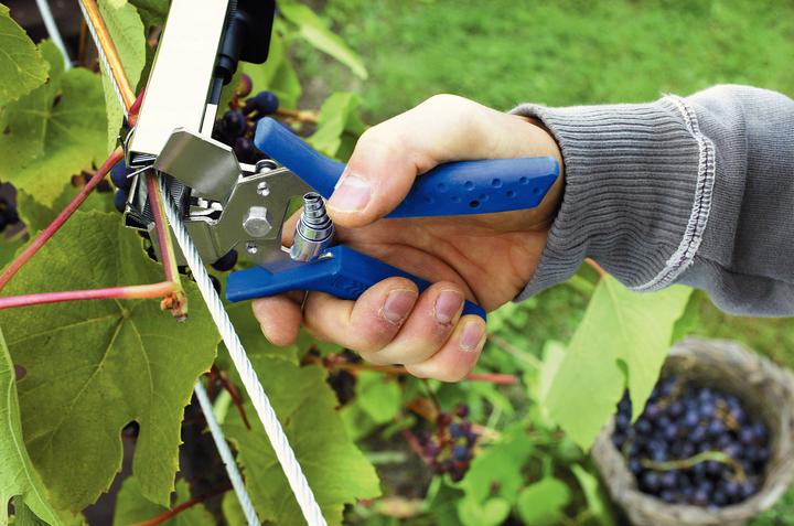 Immagine prodotto Rapid C75 Pinze ad anello ALU 6.000 pezzi