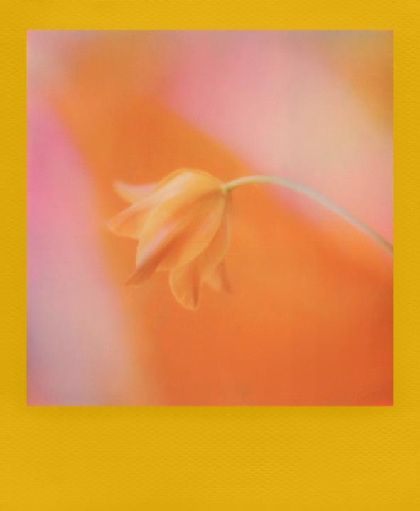 Produktbild Polaroid Color Film