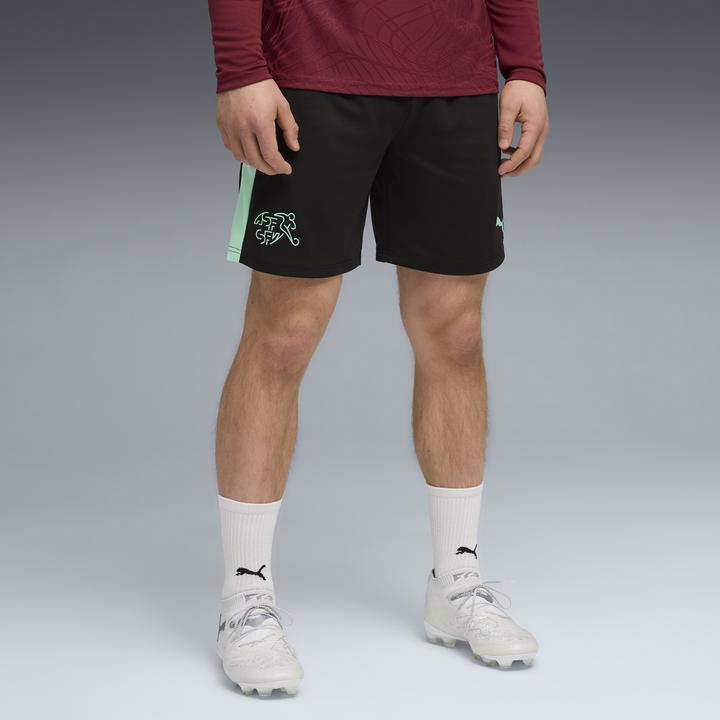 Actual product image Puma SFV Training Shorts w/ pockets (M)