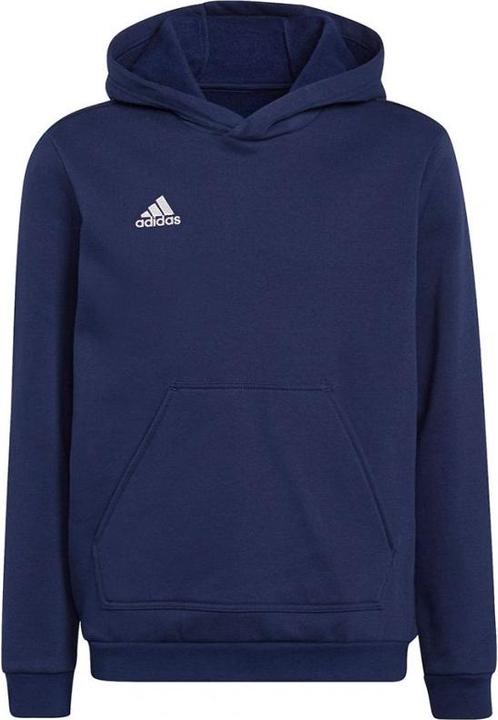 adidas Entrada 22 Kapuzenpullover Kinder (176)
