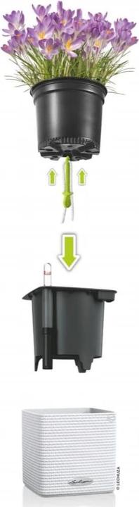 Produktbild Lechuza Cube (14 x 14 x 13.50 cm)