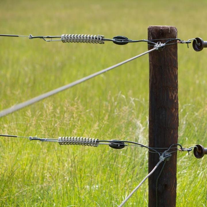 Actual product image Gallagher Wire spring