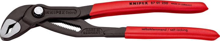 Actual product image Knipex Cobra (250 mm)