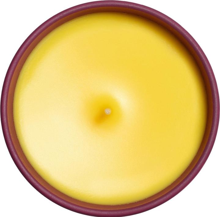 Immagine prodotto Sisley Duftkerze Rose (165 g)