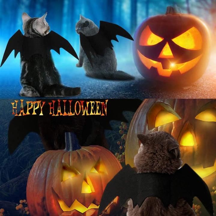 Actual product image Suba Pet Cat Bat Wings for Halloween Party Decoration (Dog costume)