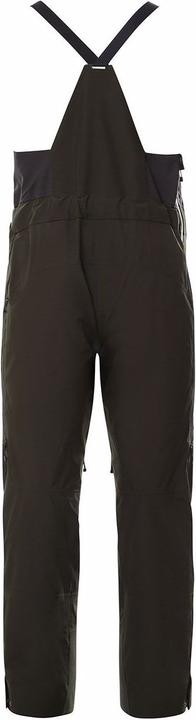 Actual product image North Face Brigandine Futurelight Bib Pants (S)