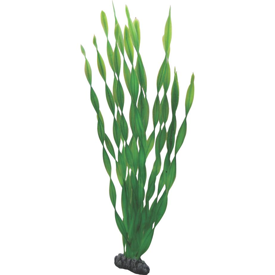 Décoration d’aquarium Hobby Vallisneria