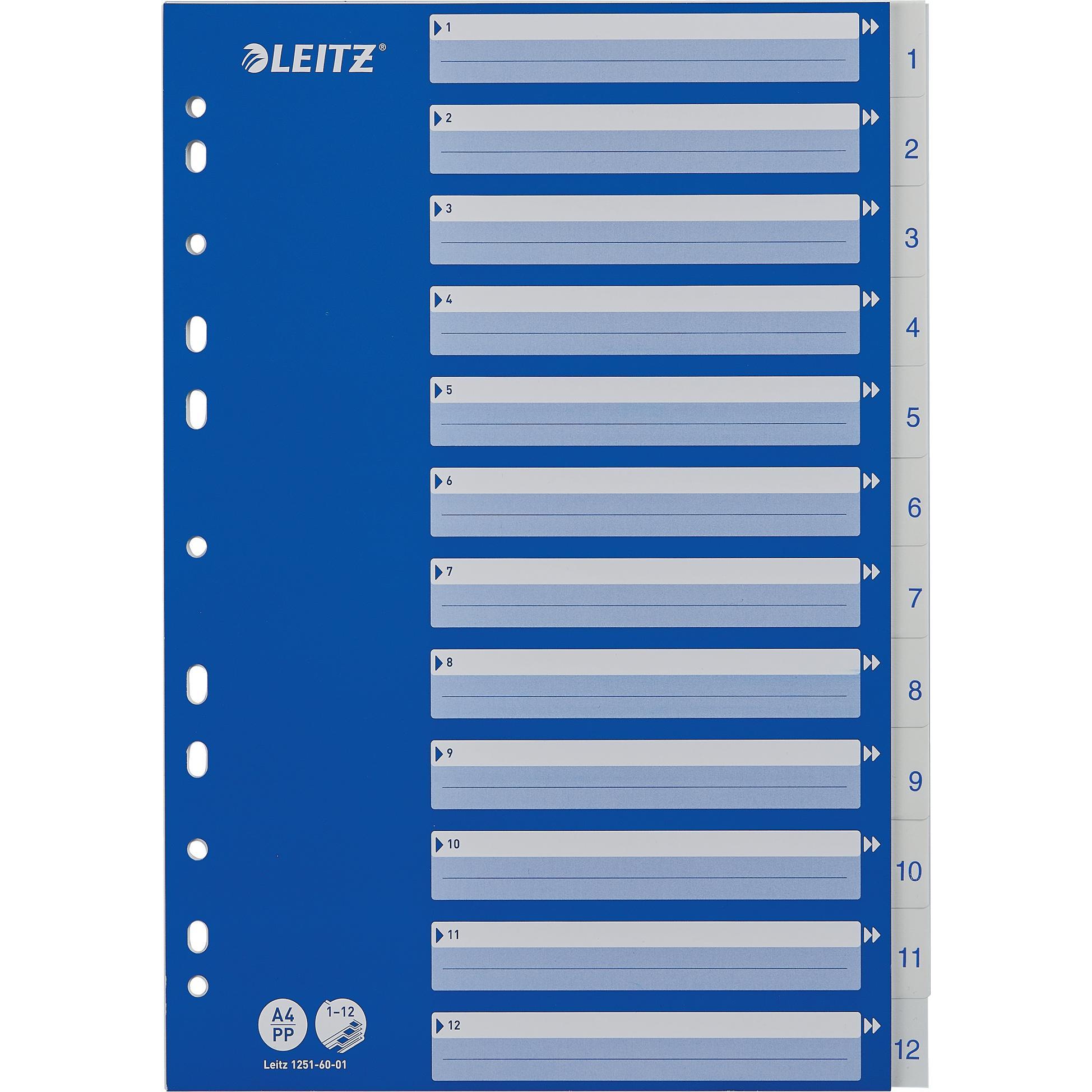 10x Leitz, Ordner Zubehör, PP-Register mit blauem Deckblatt, diverse Ausführungen, einzeln