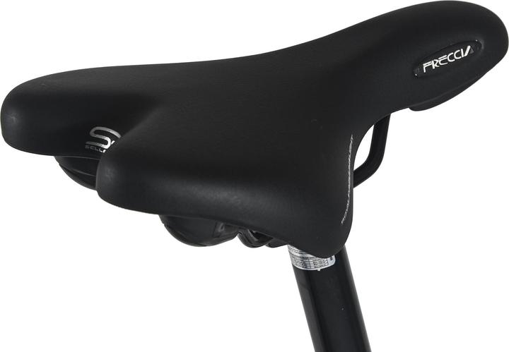 Produktbild Trekkingrad Damen 28" Firenze 100 21 Gänge RH 48 cm (48 cm)