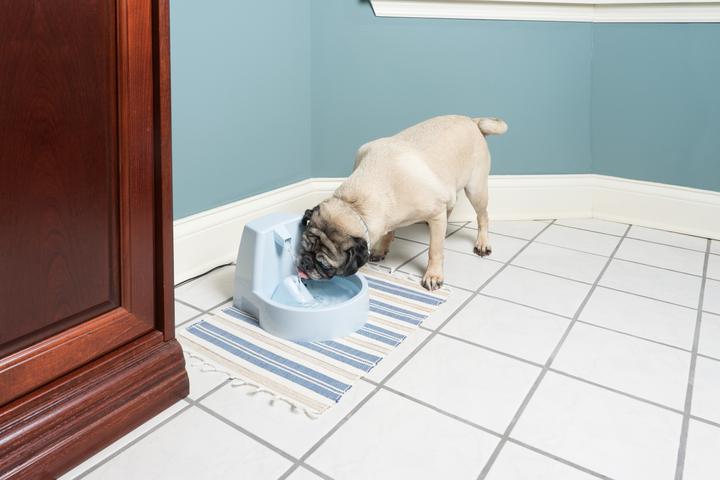 Immagine prodotto Drinkwell Fontana da bere originale PetSafe 1,5l (1.50 l)