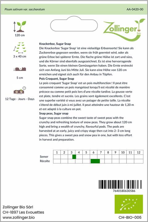 Actual product image Zollinger Bio Knackerbse, Sugar Snap (Sprouts)