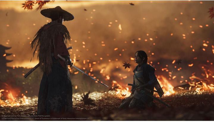 Immagine prodotto Sony Ghost of Tsushima Director’s Cut (PS4, Francese, Italiano, tedesco)