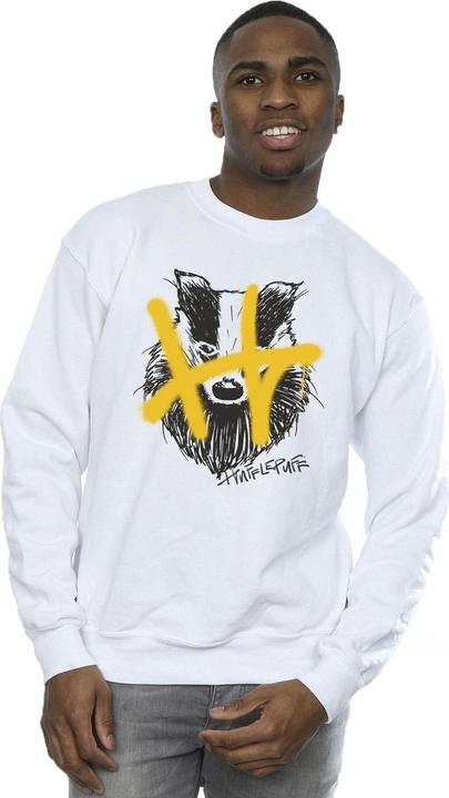 Produktbild Hufflepuff Pop Spray Sweatshirt (XXL)