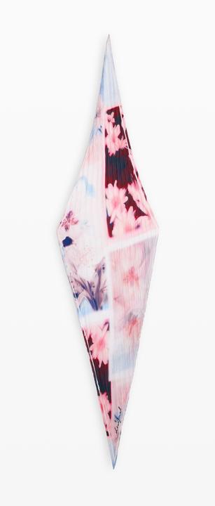 Image du produit Desigual Winner