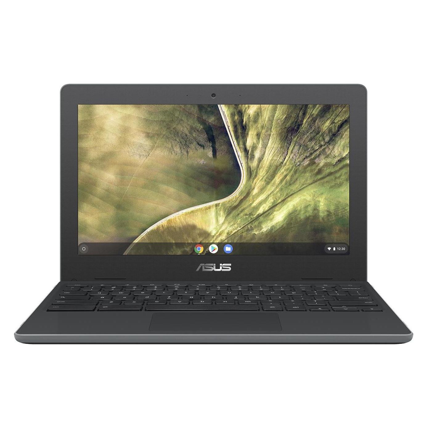 ASUS Chromebook C204MA (11.60", 32 GB, 4 GB, DE, Intel Celeron N4000), Notebook, Grau