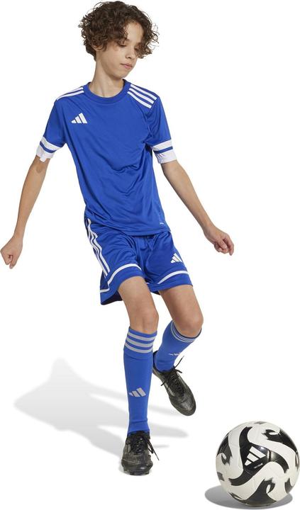 Produktbild adidas Squadra 25 Short Kids (152)