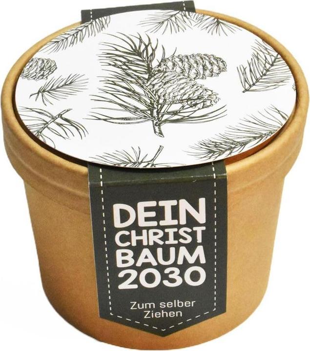 Actual product image Wunderle Wundertüte Dein Christbaum 2030 (1x)